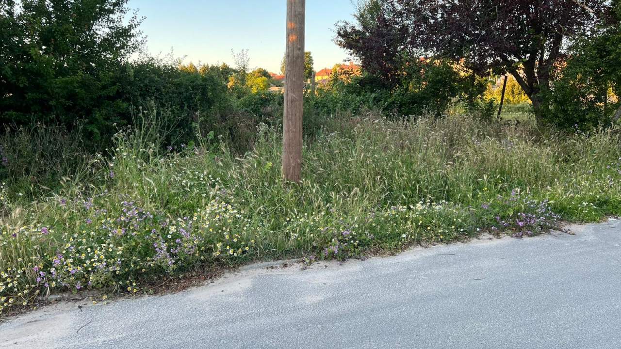 [Img #69533]